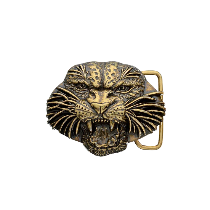 Three Dimensional Buckles