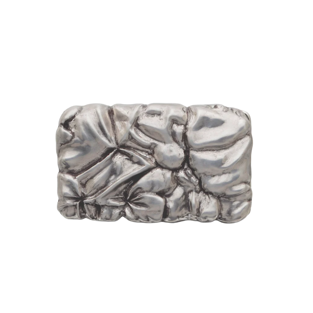 Rectangular belt buckle with textured folds and subtle leaf motifs, oxidized silver, isolated on transparent background